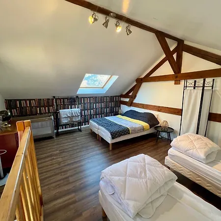 Grand 6 A 8 Pers Centre Et Pistes Proches * La Bresse