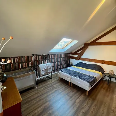 Grand 6 A 8 Pers Centre Et Pistes Proches Holiday home La Bresse