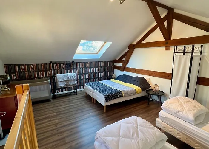 Grand 6 A 8 Pers Centre Et Pistes Proches * La Bresse