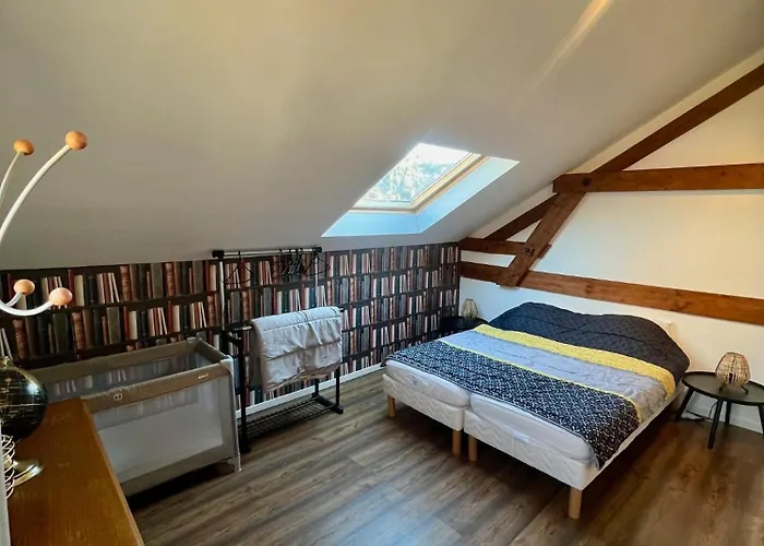 Grand 6 A 8 Pers Centre Et Pistes Proches Tatil Evi La Bresse