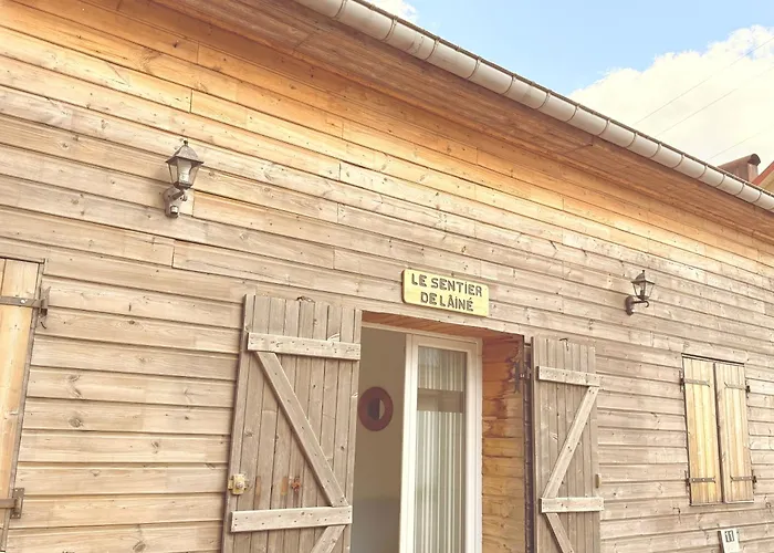 Grand 6 A 8 Pers Centre Et Pistes Proches * La Bresse